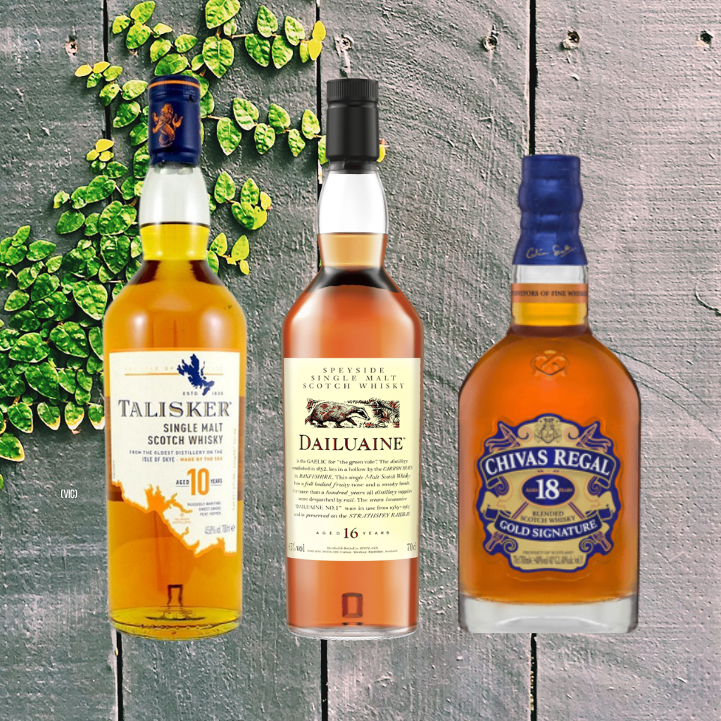 Introductions Pack (3 x 50ml)